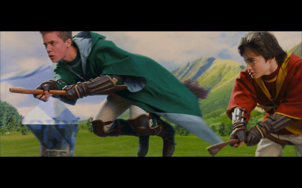 Harry Potter and the Sorcerer's Stone - 495