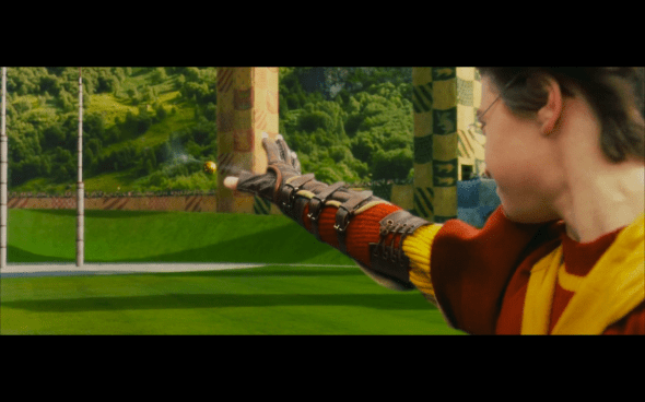 Harry Potter and the Sorcerer's Stone - 499