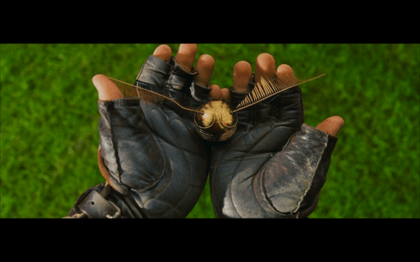 Harry Potter and the Sorcerer's Stone - 504