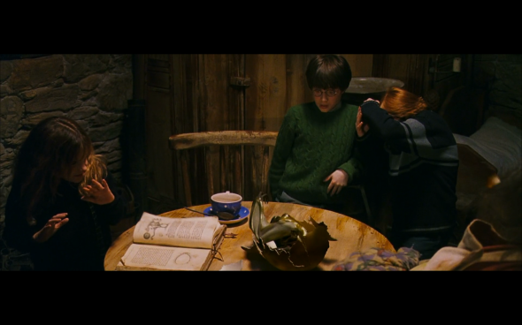 Harry Potter and the Sorcerer's Stone - 577