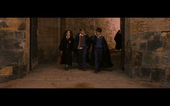 Harry Potter and the Sorcerer's Stone - 639