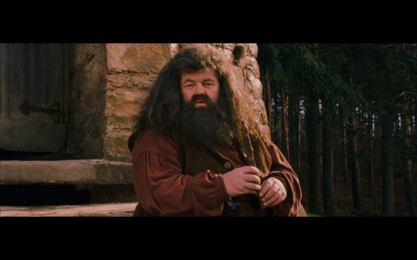 Harry Potter and the Sorcerer's Stone - 641