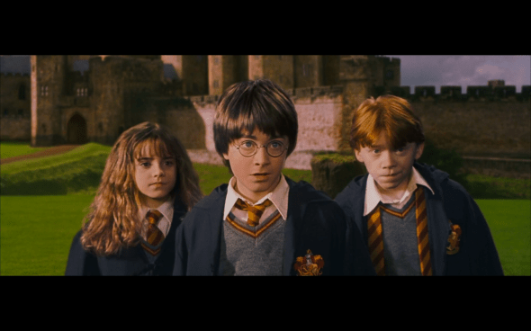 Harry Potter and the Sorcerer's Stone - 642