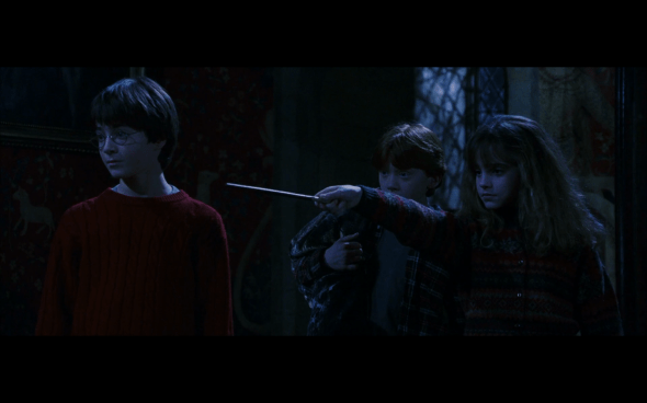 Harry Potter and the Sorcerer's Stone - 669