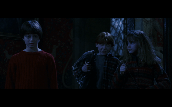 Harry Potter and the Sorcerer's Stone - 672
