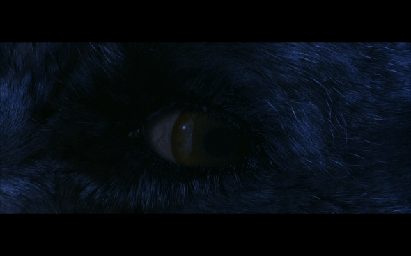 Harry Potter and the Sorcerer's Stone - 684