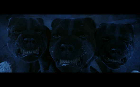 Harry Potter and the Sorcerer's Stone - 691