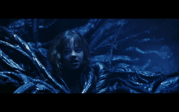 Harry Potter and the Sorcerer's Stone - 703