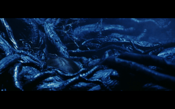 Harry Potter and the Sorcerer's Stone - 704