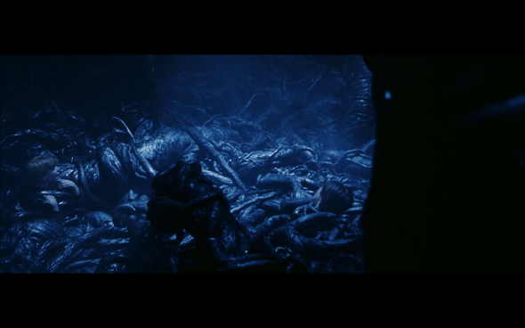 Harry Potter and the Sorcerer's Stone - 705