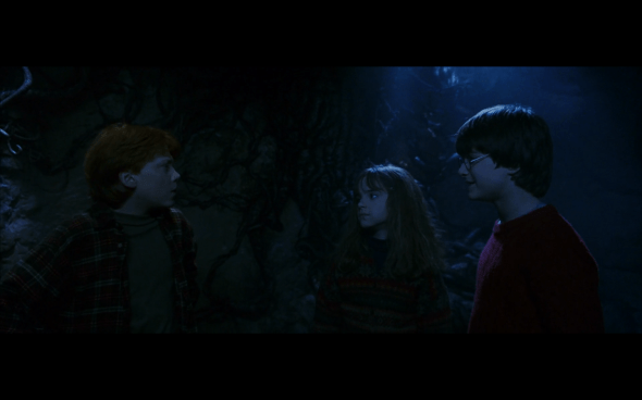 Harry Potter and the Sorcerer's Stone - 714