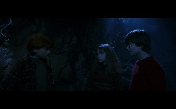 Harry Potter and the Sorcerer's Stone - 715
