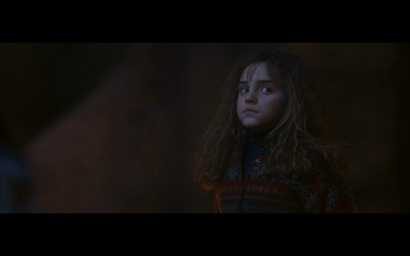 Harry Potter and the Sorcerer's Stone - 741