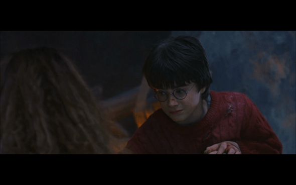 Harry Potter and the Sorcerer's Stone - 768