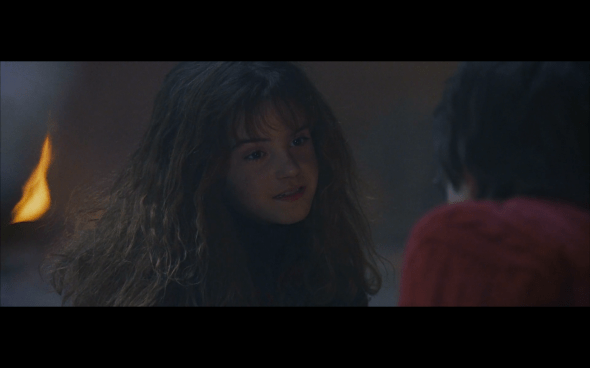 Harry Potter and the Sorcerer's Stone - 770