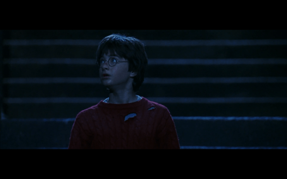 Harry Potter and the Sorcerer's Stone - 781