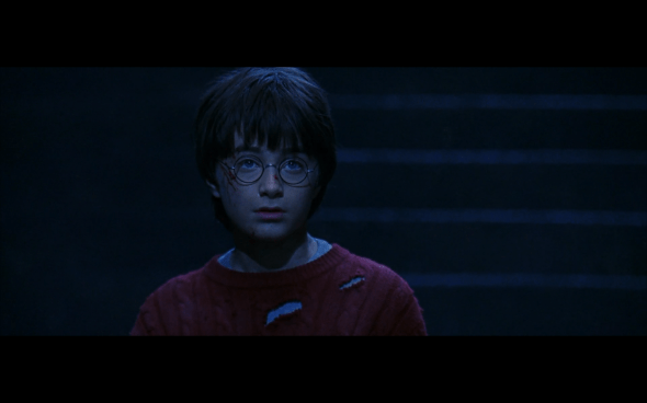 Harry Potter and the Sorcerer's Stone - 794