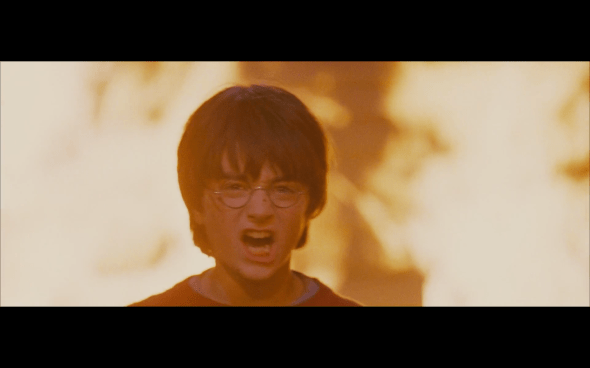 Harry Potter and the Sorcerer's Stone - 807