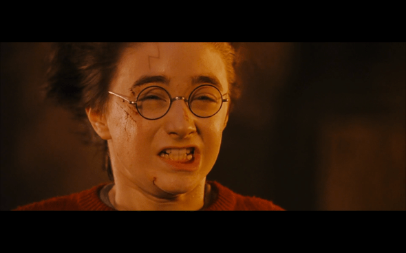 Harry Potter and the Sorcerer's Stone - 832