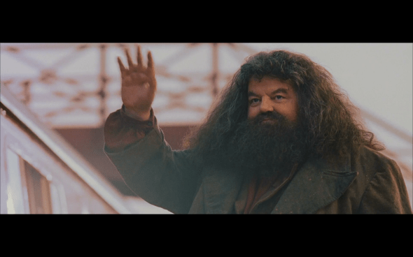 Harry Potter and the Sorcerer's Stone - 889