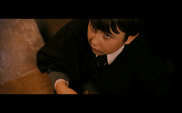 Harry Potter and the Sorcerer's Stone - 896