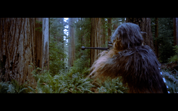 Return of the Jedi - 505