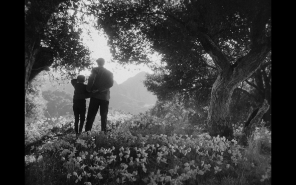 How Green Was My Valley - 31