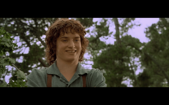 The Lord of the Rings The Fellowship of the Ring - 100