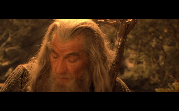 The Lord of the Rings The Fellowship of the Ring - 1004