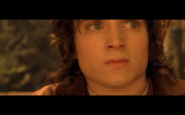 The Lord of the Rings The Fellowship of the Ring - 1010
