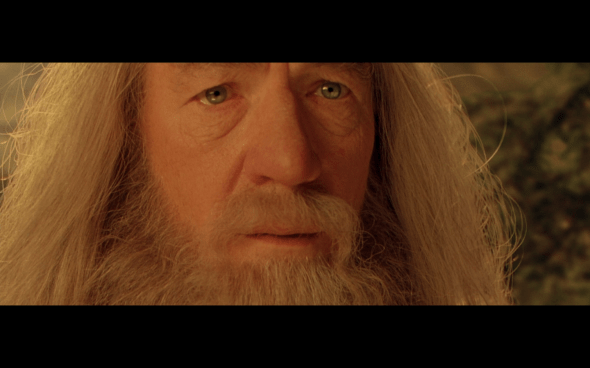 The Lord of the Rings The Fellowship of the Ring - 1014