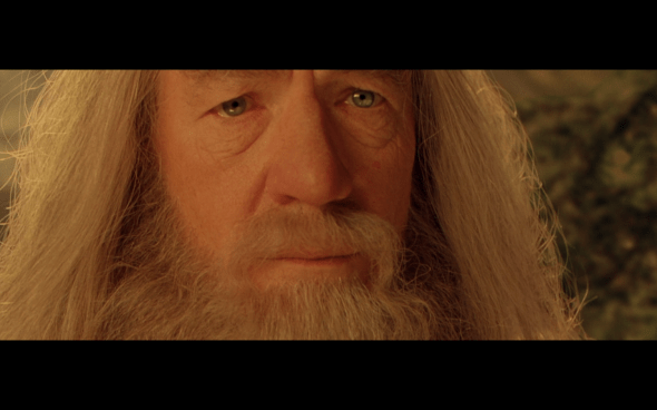 The Lord of the Rings The Fellowship of the Ring - 1015