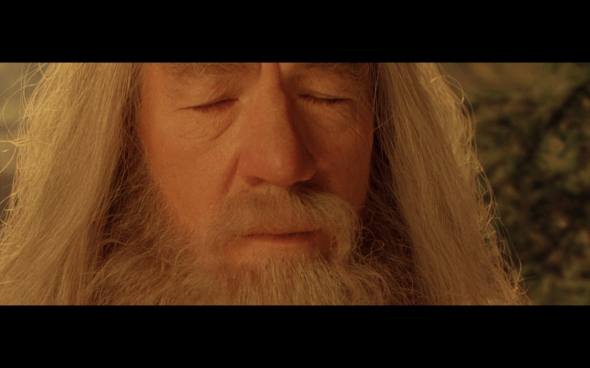 The Lord of the Rings The Fellowship of the Ring - 1016