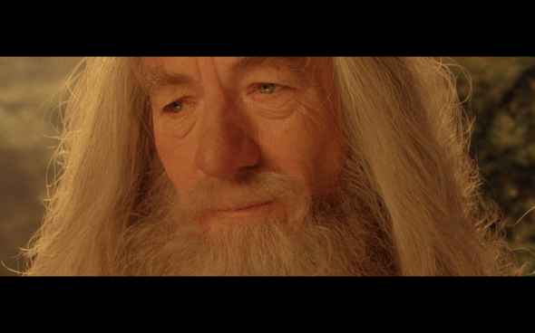 The Lord of the Rings The Fellowship of the Ring - 1018