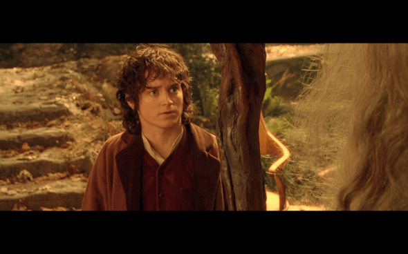 The Lord of the Rings The Fellowship of the Ring - 1019