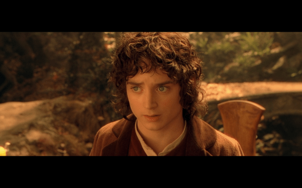 The Lord of the Rings The Fellowship of the Ring - 1021
