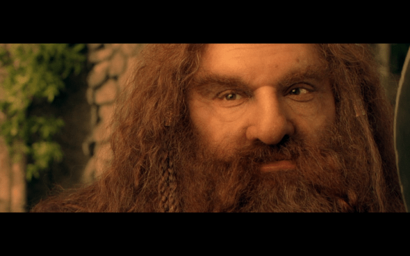 The Lord of the Rings The Fellowship of the Ring - 1028