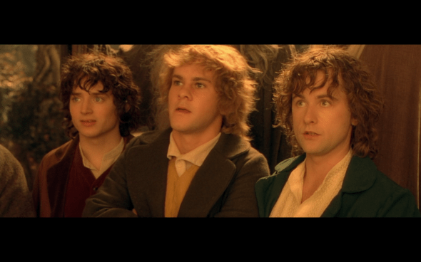 The Lord of the Rings The Fellowship of the Ring - 1036