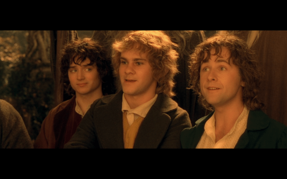 The Lord of the Rings The Fellowship of the Ring - 1041