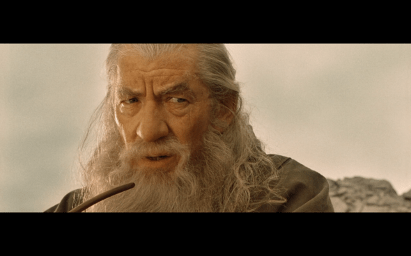 The Lord of the Rings The Fellowship of the Ring - 1079