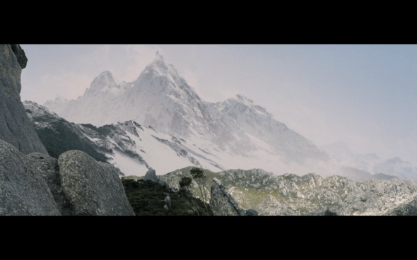 The Lord of the Rings The Fellowship of the Ring - 1098