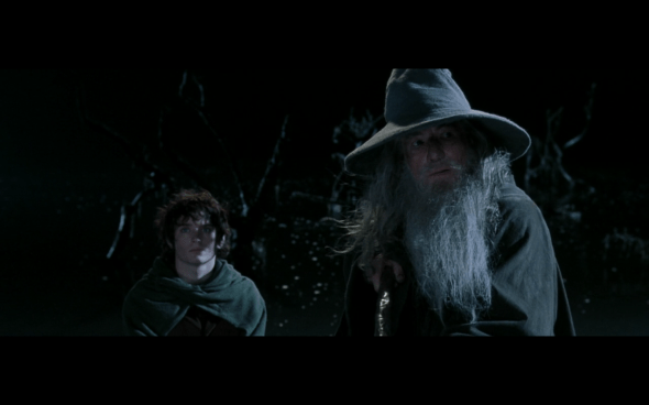 The Lord of the Rings The Fellowship of the Ring - 1153