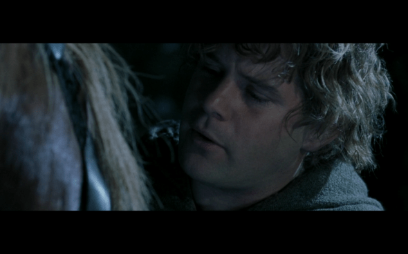 The Lord of the Rings The Fellowship of the Ring - 1159