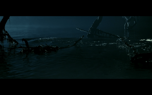 The Lord of the Rings The Fellowship of the Ring - 1161