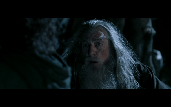 The Lord of the Rings The Fellowship of the Ring - 1163