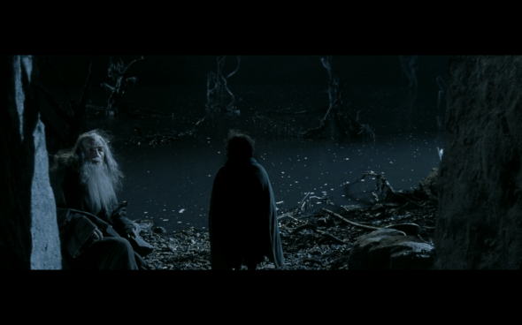 The Lord of the Rings The Fellowship of the Ring - 1165