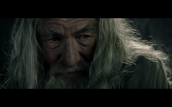 The Lord of the Rings The Fellowship of the Ring - 1217