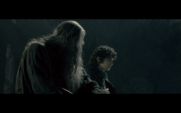 The Lord of the Rings The Fellowship of the Ring - 1218