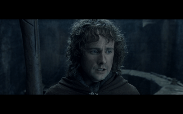 The Lord of the Rings The Fellowship of the Ring - 1251