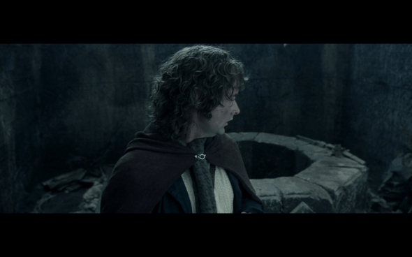 The Lord of the Rings The Fellowship of the Ring - 1257